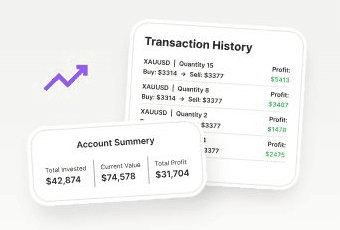 Transaction history and account summary reports